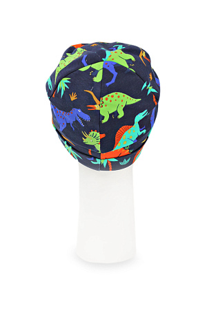 Шапка ХЬЮГО DAN&DANI весна/осень дет. 22 0Y-00005397