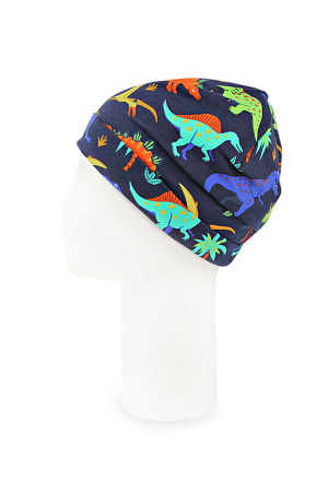 Шапка ХЬЮГО DAN&DANI весна/осень дет. 22 0Y-00005397