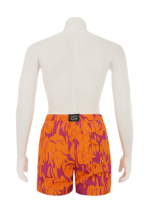 Шорты DAVID лето муж. 23 0Y-00011997