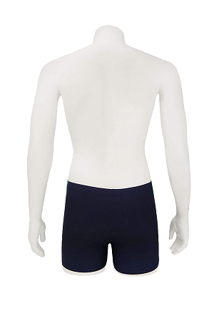 Боксеры купальн. ARENA лето муж. 23 0Y-00011579