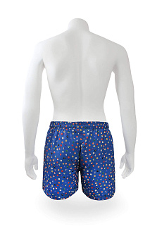 Шорты пляжные мужские / Howin