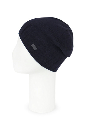 Шапка WAG весна/осень муж. 21 0G-00012196