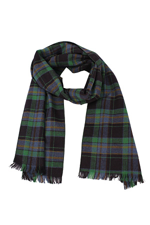 Шарф SCIARPA C/C35 ALFONSO D`ESTE весна/осень муж. 21 0Y-00001614