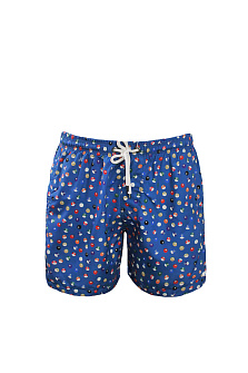 Шорты пляжные мужские / Howin