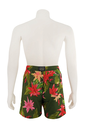 Шорты DAVID лето муж. 23 0Y-00011996