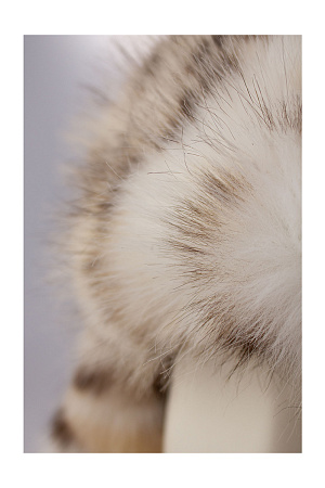 Шапка ушанка на кнопке МИНИ ЭКО НОРКА+РЫСЬ зима жен. 25/26 0Y-00018997