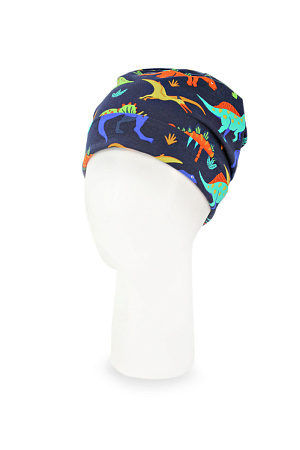 Шапка ХЬЮГО DAN&DANI весна/осень дет. 22 0Y-00005397