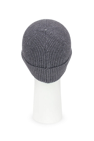 Шапка ТОП 292 WAG весна/осень муж. 23 00000031307