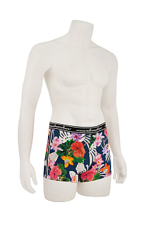 Плавки-боксеры купальные / Wavebreaker