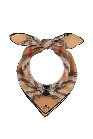 Платок FRAAS весна/осень ун. 25 0Y-00016499