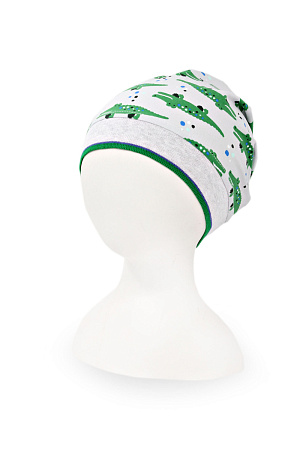 Шапка защип БУДДИ DAN&DANI весна/осень дет. 22 0Y-00005415