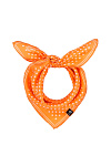 Платок FRAAS лето жен. 25/26 SALE 0G-00008029 (53*53, в ассортименте, горох)