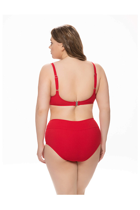Купальник раздельный бикини и слипы / plus size / Fianeta