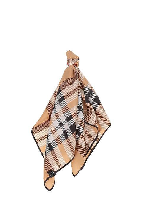 Платок из шелка / Fraas