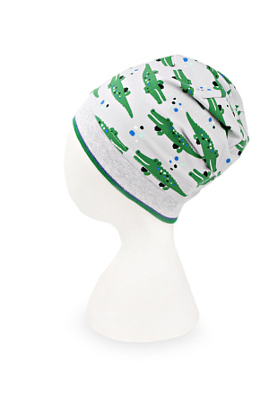 Шапка защип БУДДИ DAN&DANI весна/осень дет. 22 0Y-00005415