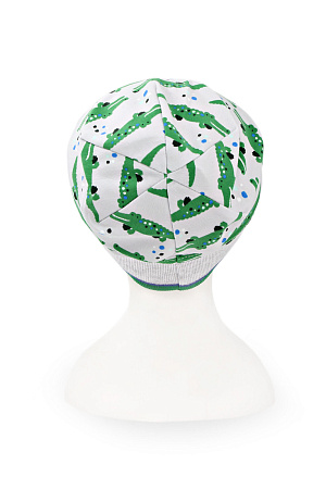 Шапка защип БУДДИ DAN&DANI весна/осень дет. 22 0Y-00005415