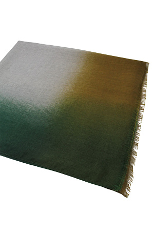 Палантин ПЕРЕХОД FRAAS весна/осень жен. 20/21 0G-00010906