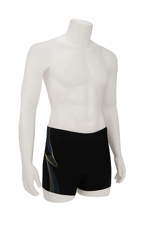 Боксеры купальн. ARENA лето муж. 23 0Y-00011578