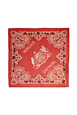 Бандана Paisley / Stetson